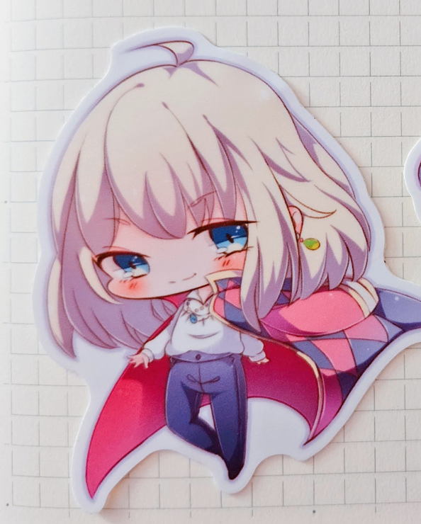 H and S Vinyl Stickers