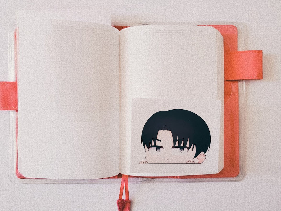 Levi Planner Peeper Vinyl Sticker
