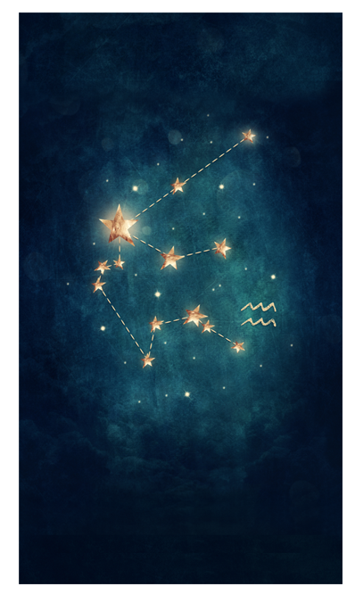 Zodiac planner dashboards