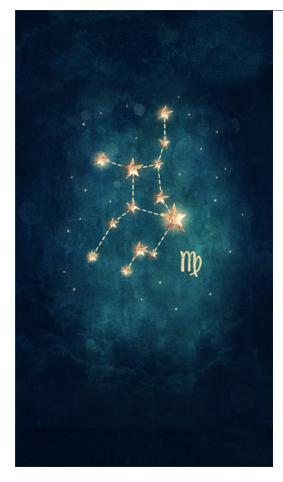 Zodiac planner dashboards