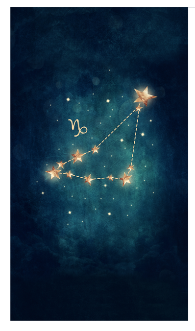 Zodiac planner dashboards