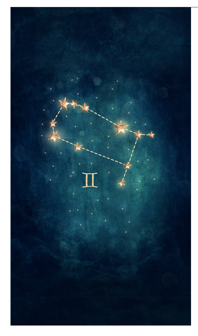 Zodiac planner dashboards