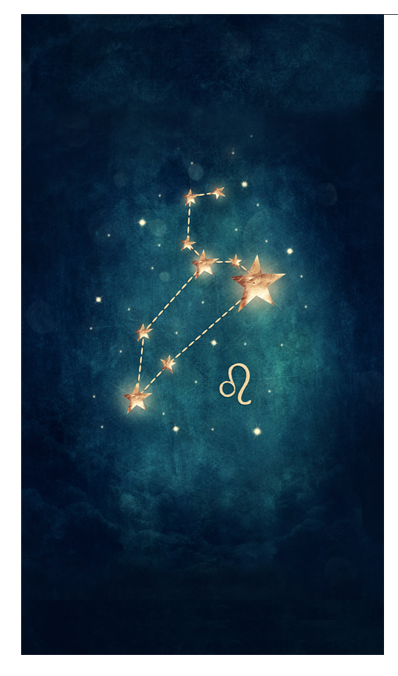 Zodiac planner dashboards