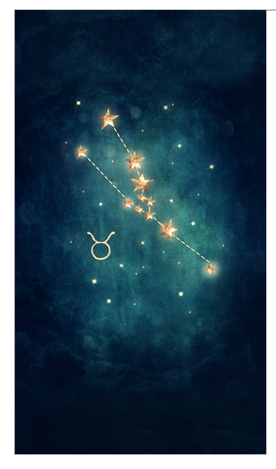 Zodiac planner dashboards
