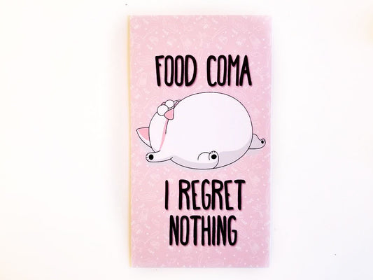 Mits the cat in a food coma planner dashboard